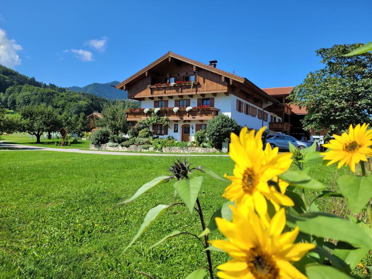 Appartamento Hoderhof Grassau  Esterno foto