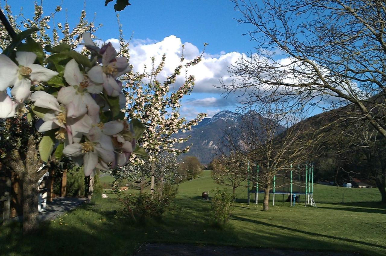 Appartamento Hoderhof Grassau  Esterno foto