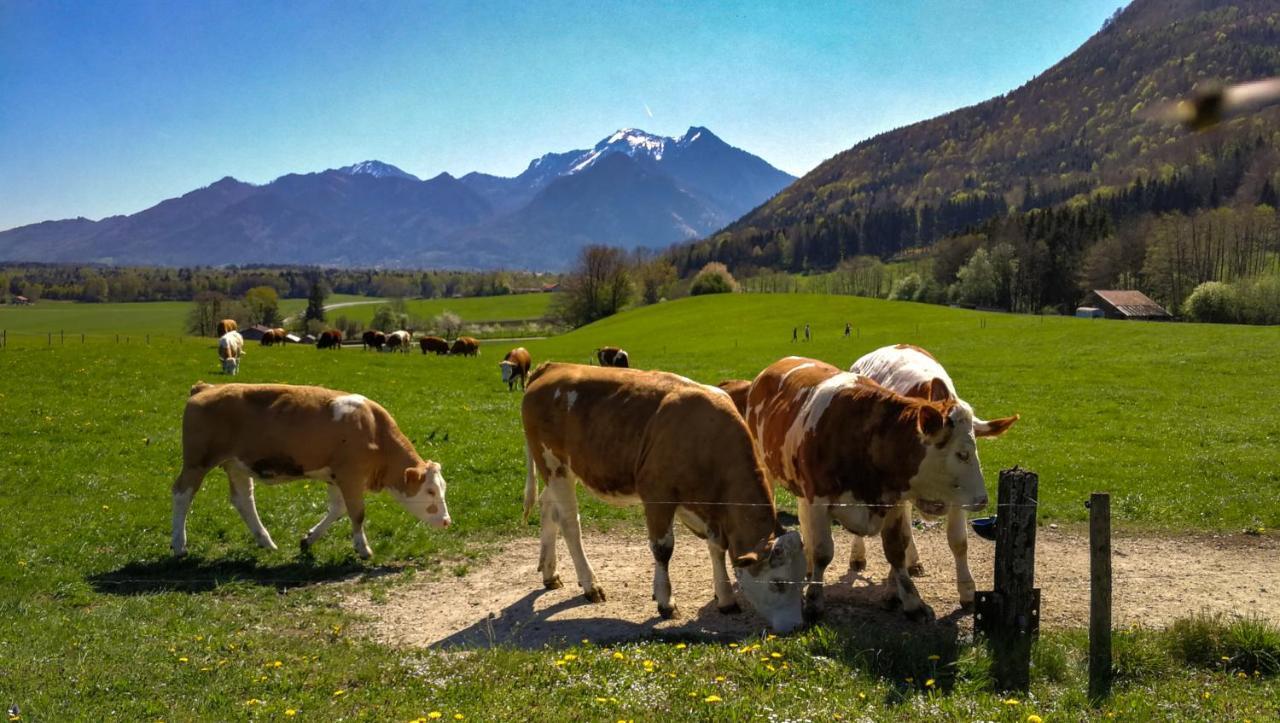 Appartamento Hoderhof Grassau  Esterno foto